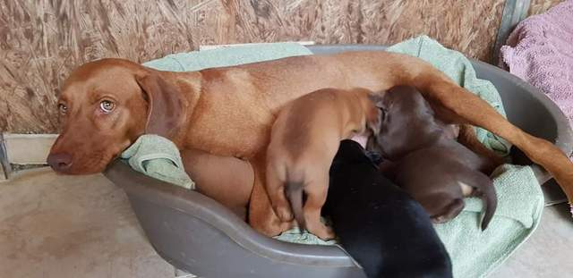 1 PHOTO 22019 11 17 18 01 06