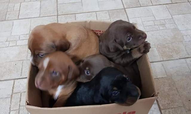 1 PHOTO4 2019 11 17 18 01 07