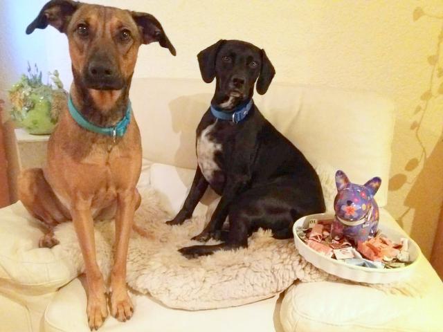 1 PHOTO 2019 10 11 19 43 06