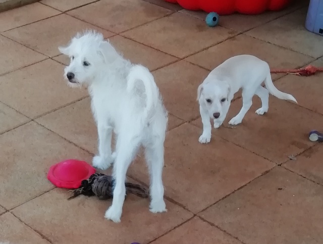 1 IMG 20190818 103329 001