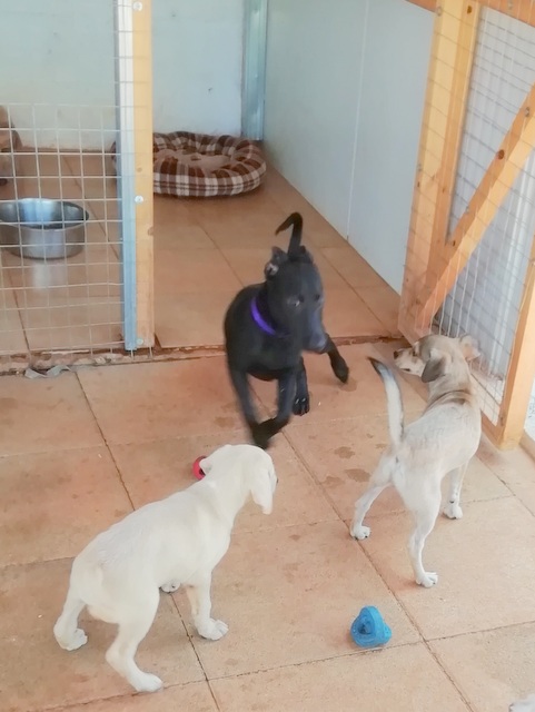 1 IMG 20190818 103719