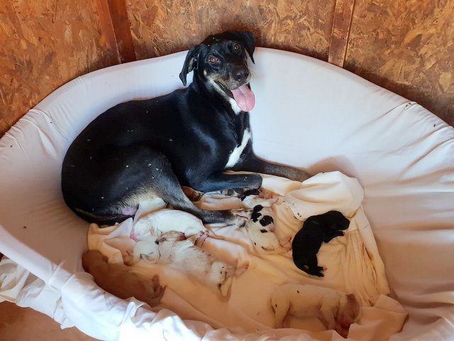 1 69136071 2147053555417313 7201557328049471488 n