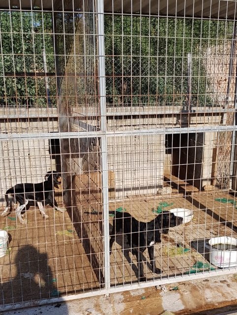 1 PHOTO 2019 08 18 12 49 46