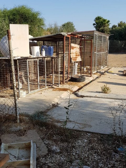 1 PHOTO 2019 08 18 12 49 48