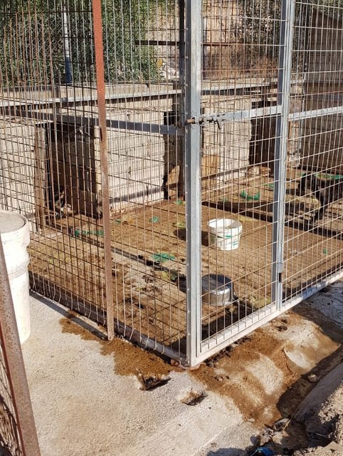 1 PHOTO 2019 08 18 12 49 49