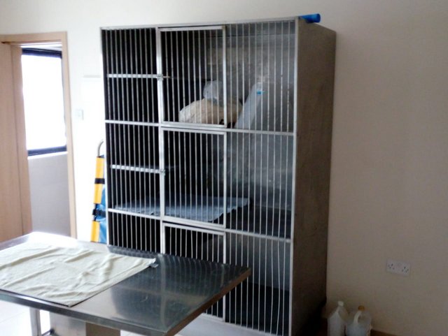 1 1PHOTO 2019 02 27 18 32 18