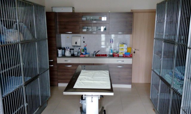 1 3PHOTO 2019 02 27 18 32 19