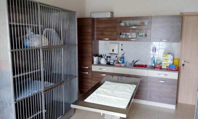 1 PHOTO 2019 02 27 18 32 18