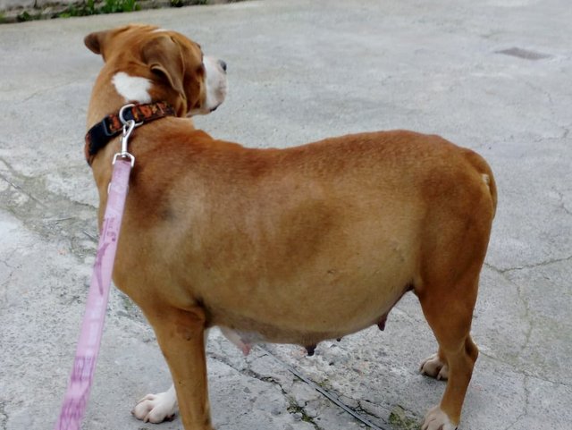 1 1PHOTO 2019 02 27 18 33 14