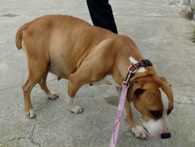 1 PHOTO 2019 02 27 18 33 13