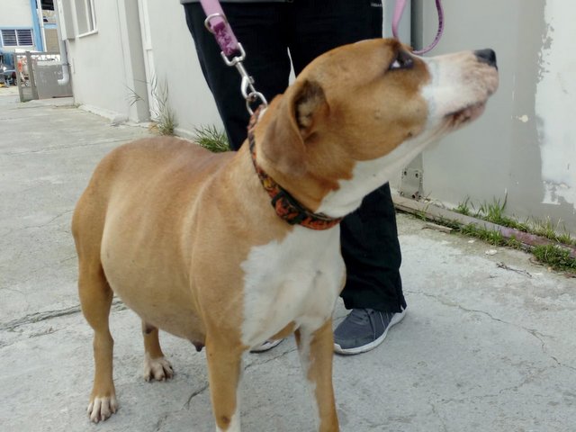 1 PHOTO 2019 02 27 18 33 14