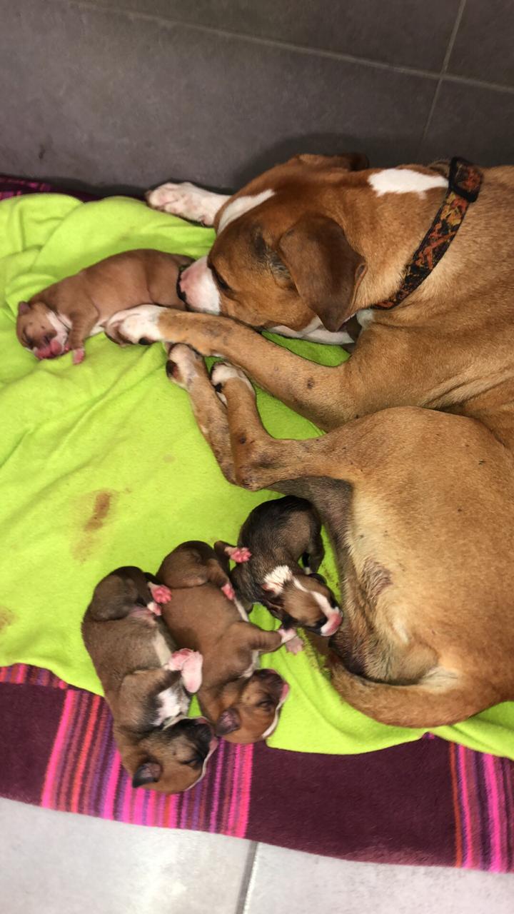 PHOTO 2019 03 03 19 04 00