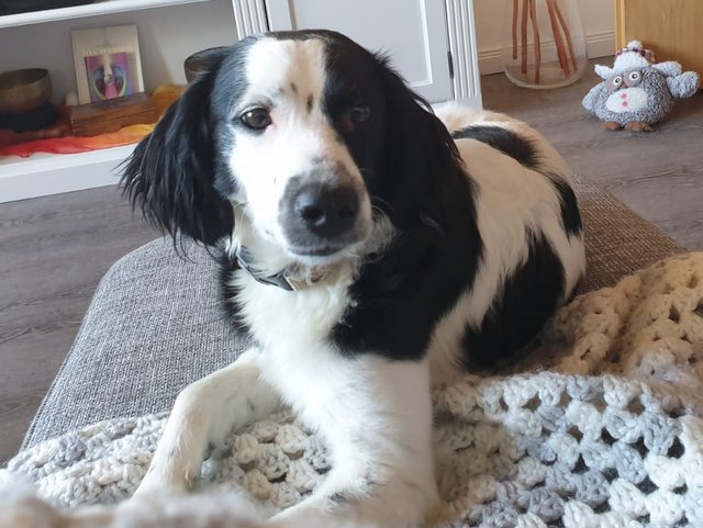 1 PHOTO 2019 05 24 08 48 40