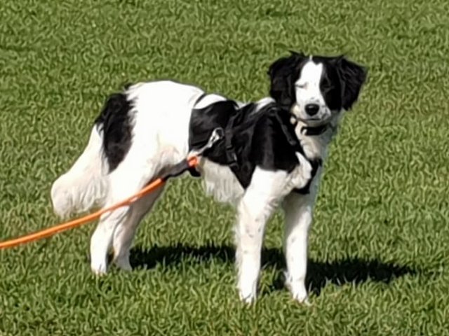 1 PHOTO 2019 05 24 08 48 41