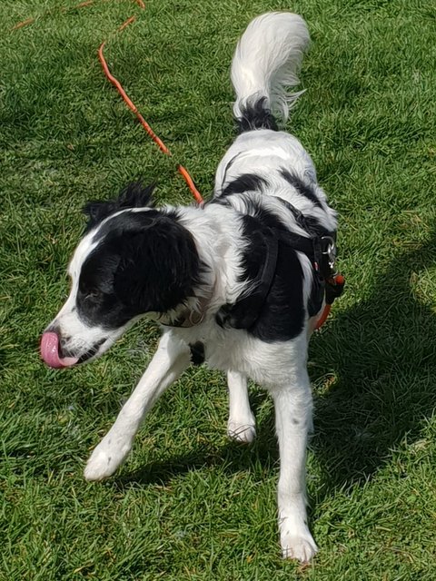 1 PHOTO 2019 05 24 08 48 58