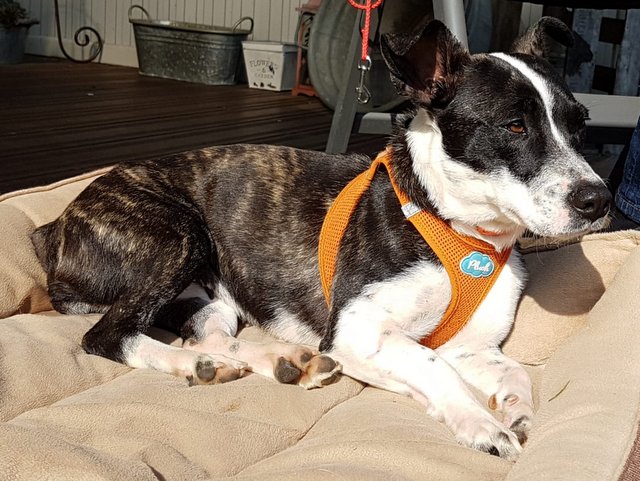 1 0b98ec4e 4e9b 48a8 9d66 e4399ed8cf9f