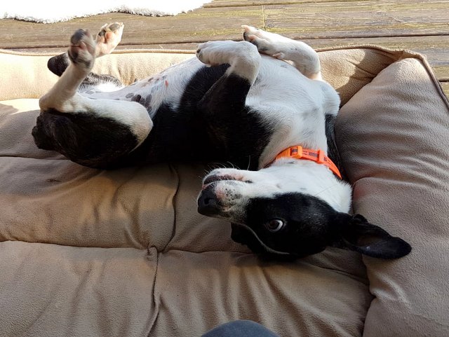 1 7c794822 67b0 4f11 add2 ddcb6590cea9