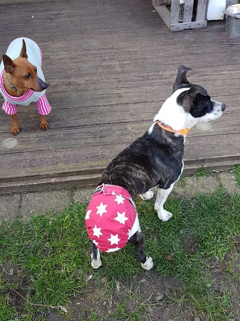 1 PHOTO 2019 03 31 19 01 20