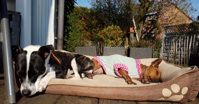 1 a8544b38 559f 4a80 942c a33e032509d7