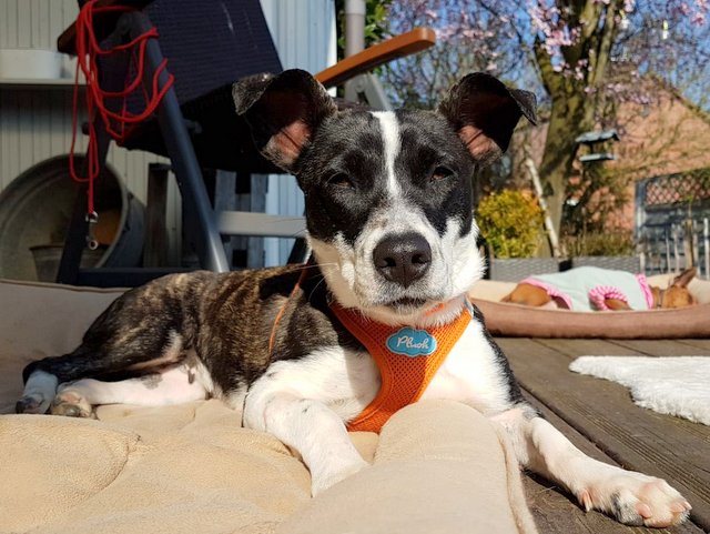 1 b4ad2552 f4c5 4049 8ffe 16d3a5c1130b