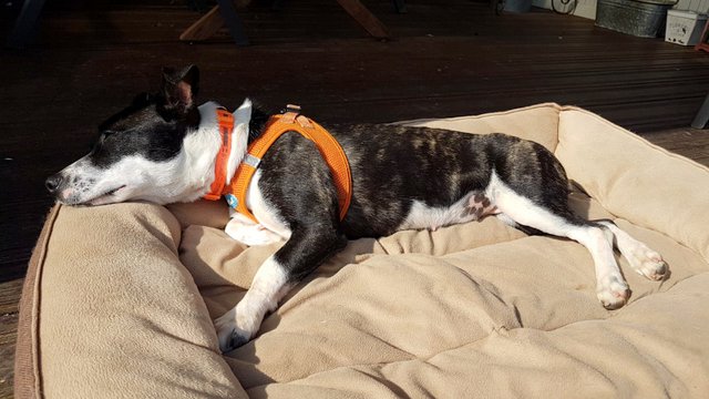 1 b8d9d4cf f509 4028 9a1b 400573d9f974