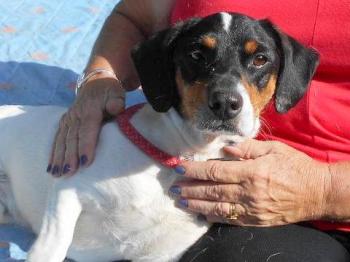 thumb Rex Photo 6 Oct 2019 002