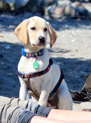 thumb 1 PHOTO9 2019 07 10 20 13 00