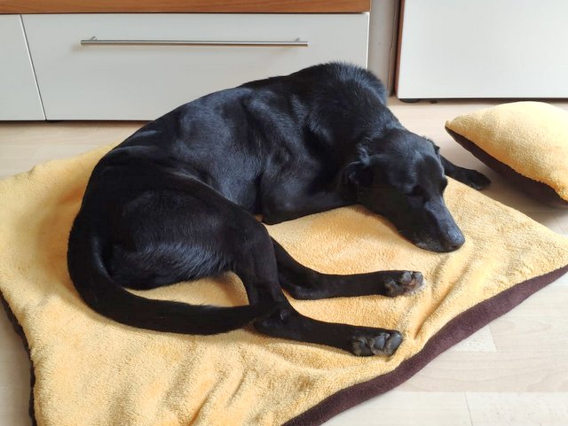 1 IMG 20190413 WA0016