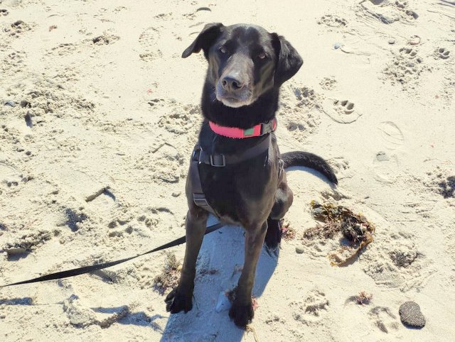 1 IMG 20190415 WA0025