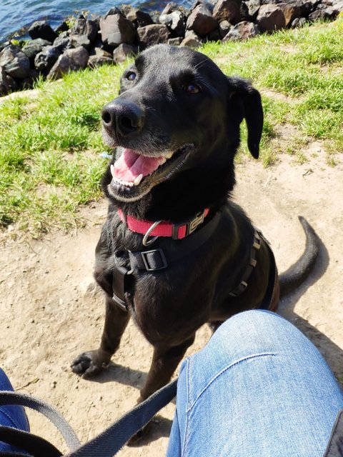 1 PHOTO 2019 04 28 20 25 31