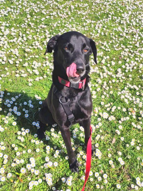 1 PHOTO 2019 04 28 20 26 09