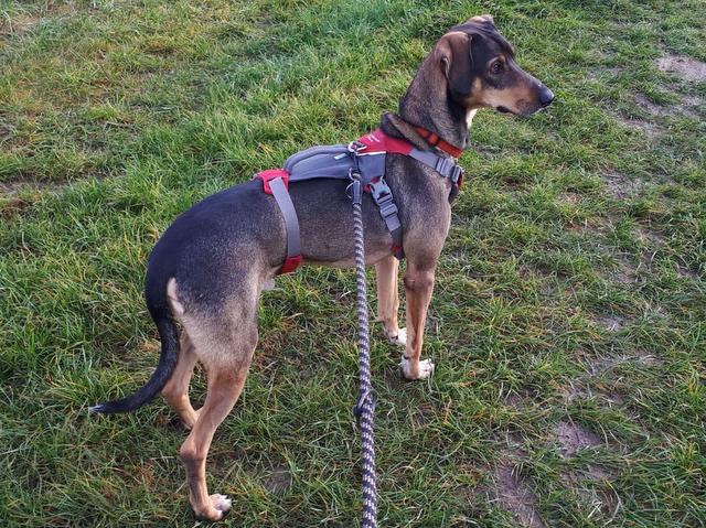 1 PHOTO 2019 11 24 10 45 38