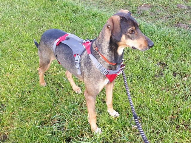 1 PHOTO1 2019 11 24 10 45 39