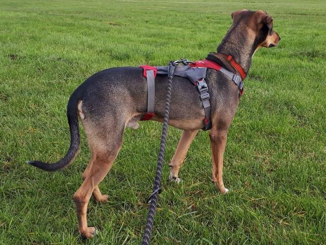 1 PHOTO3 2019 11 24 10 45 39