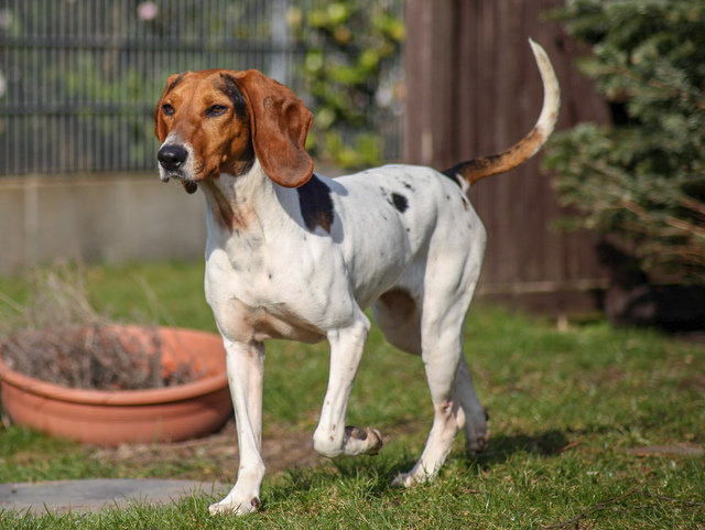 1 LRM EXPORT 355503208629916 20190225 125642308