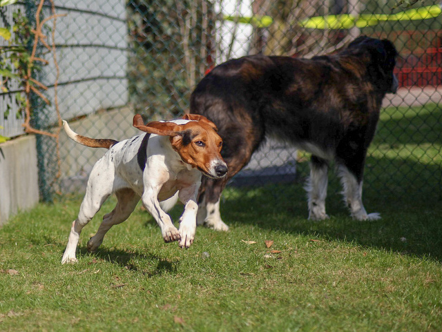 1 LRM EXPORT 355752909109353 20190225 130052009