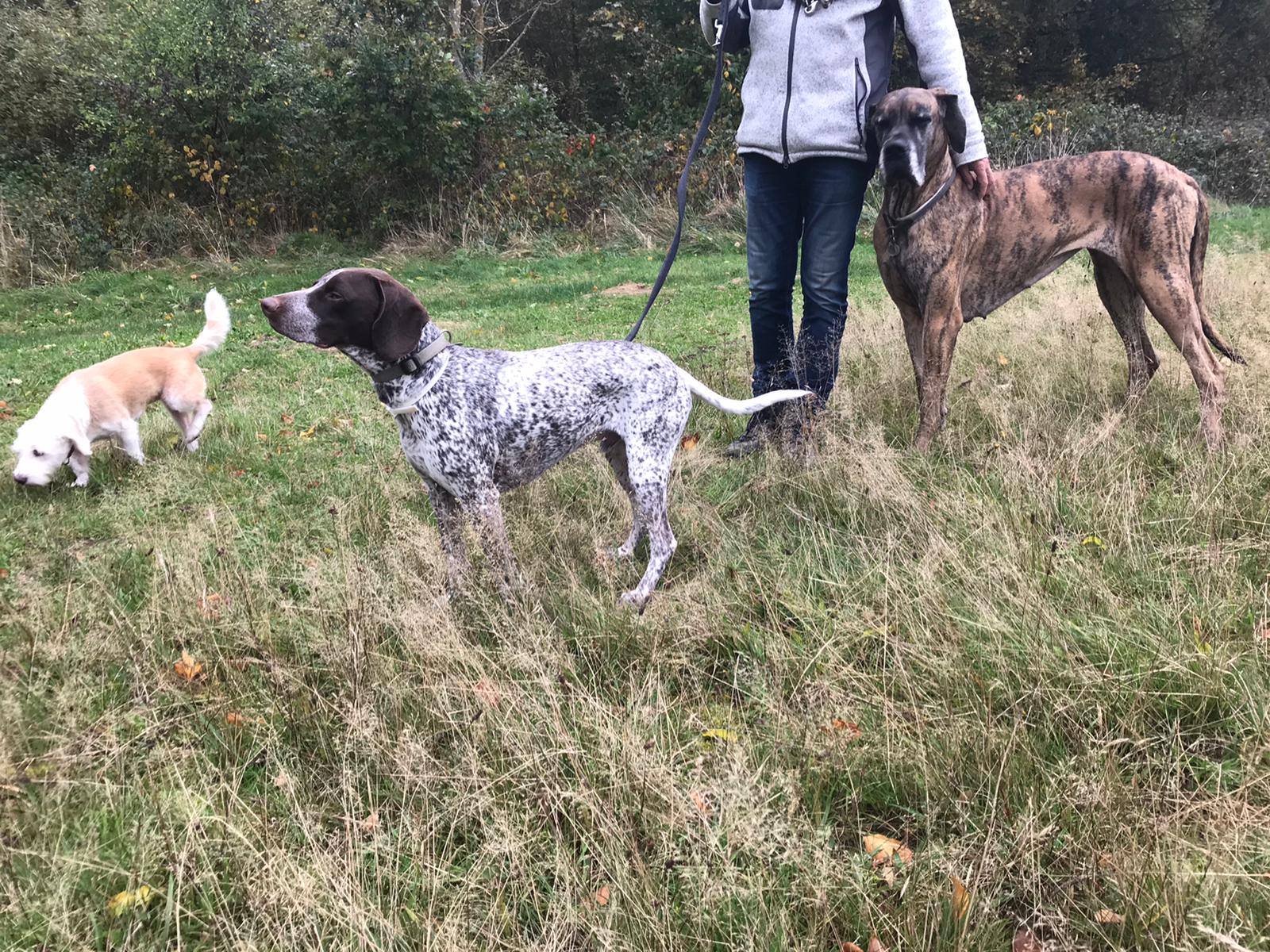 PHOTO2 2019 10 26 17 59 52