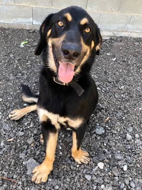 1 54798424 392316374894802 363093799309672448 n