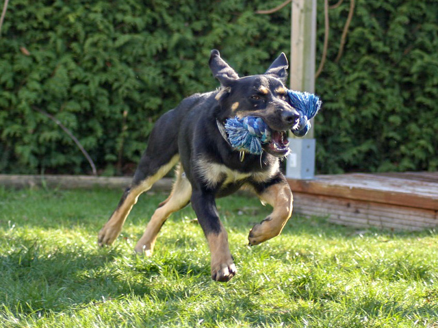 1 LRM EXPORT 232720474947006 20190413 173025938