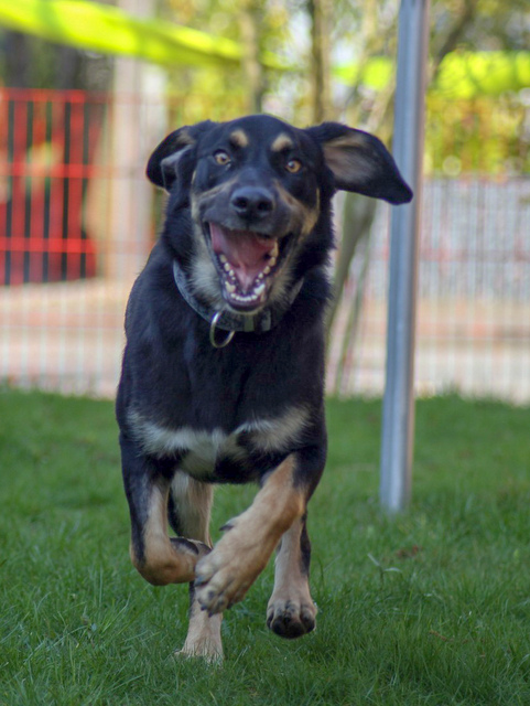 1 LRM EXPORT 232729535669269 20190413 173034998