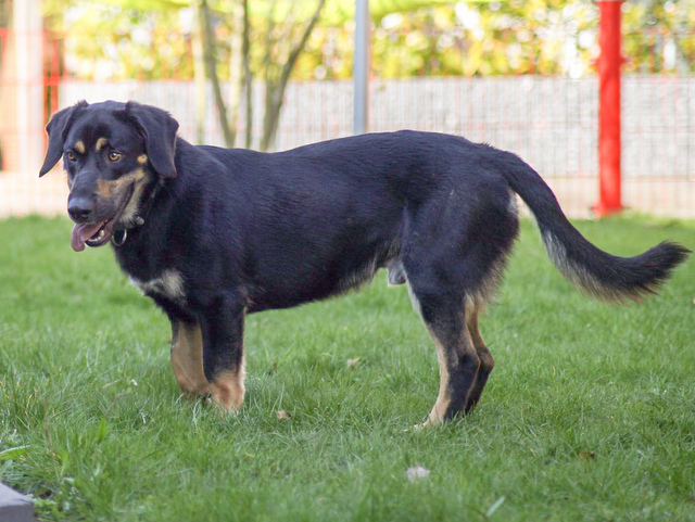 1 LRM EXPORT 232858379533100 20190413 173243842