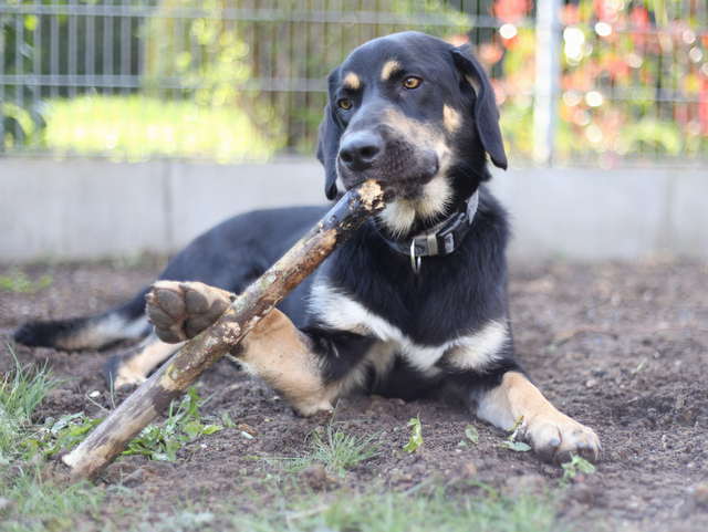 1 LRM EXPORT 233061437362339 20190413 173606900