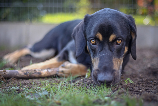 1 LRM EXPORT 233164695551458 20190413 173750158