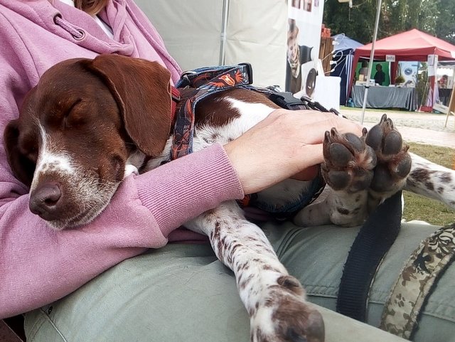 1 PHOTO2 2019 07 13 18 43 37