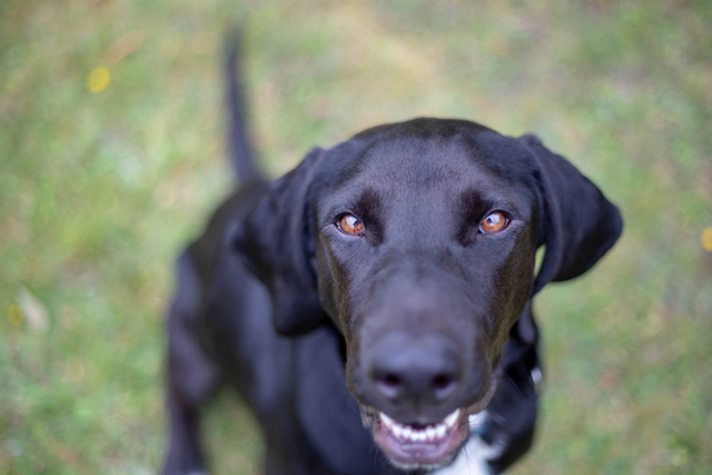 1 20190710 235959 5534719 IMG 5665d