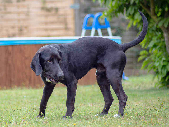 1 20190711 170214 5534686 IMG 5634