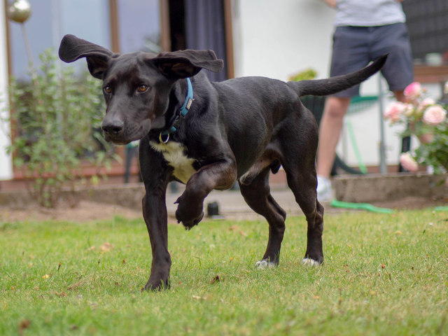 1 20190711 170422 5534702 IMG 5648