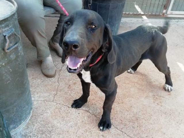 1 1PHOTO 2019 04 28 11 56 01