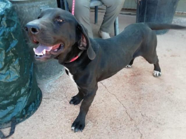 1 2PHOTO 2019 04 28 11 56 01