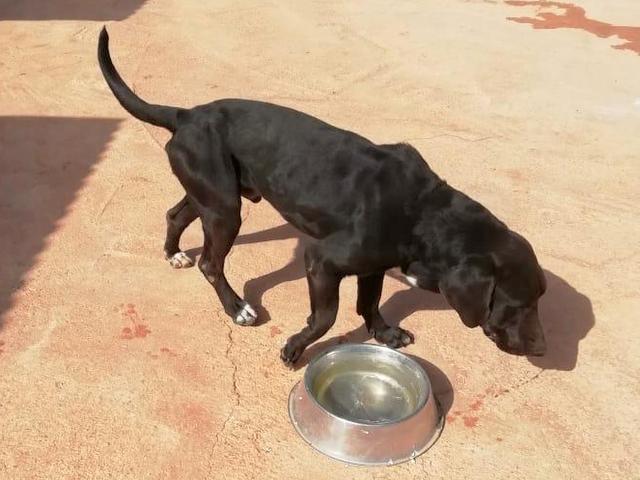 1 PHOTO 2019 04 28 11 55 58